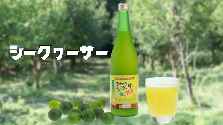 青切りシークヮーサーが一体何なのか?