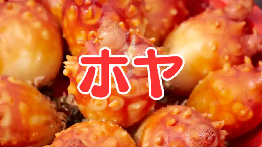 ホヤの栄養は?