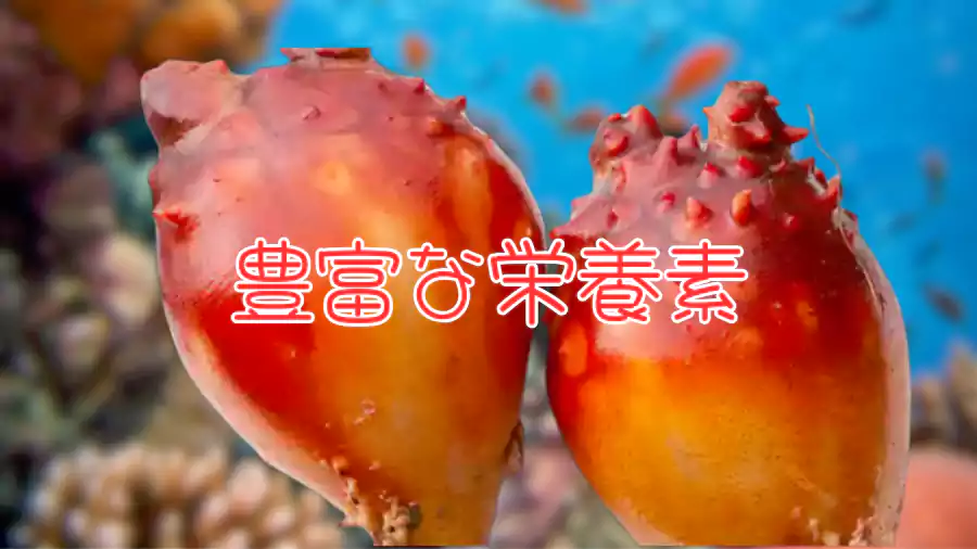 豊富な栄養素が!