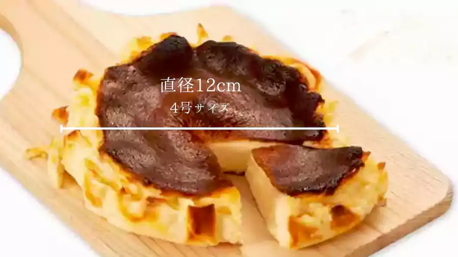 4号サイズ/直径約12㎝