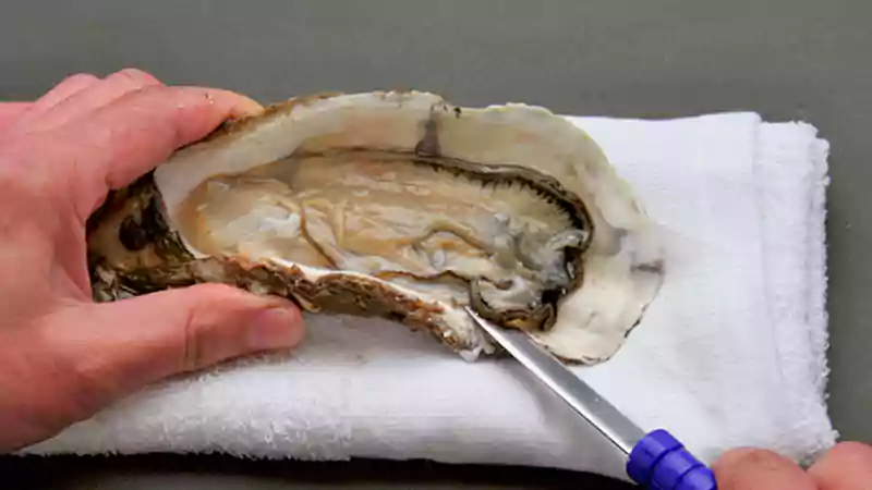 殻付牡蠣の開け方