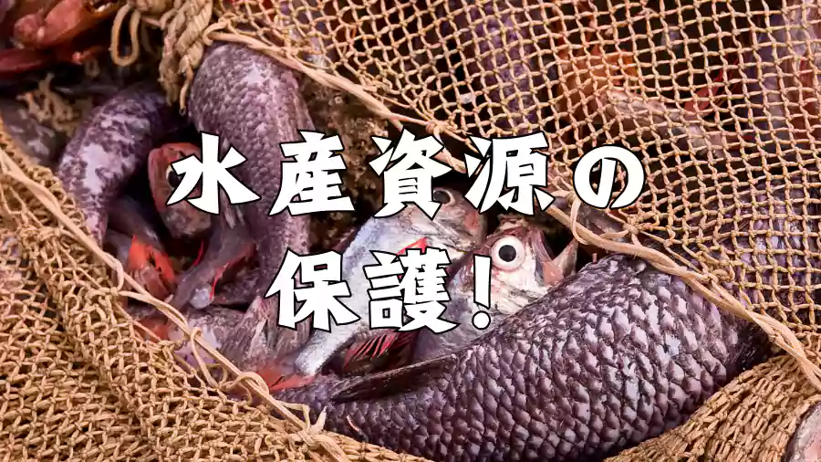 水産資源の保護!