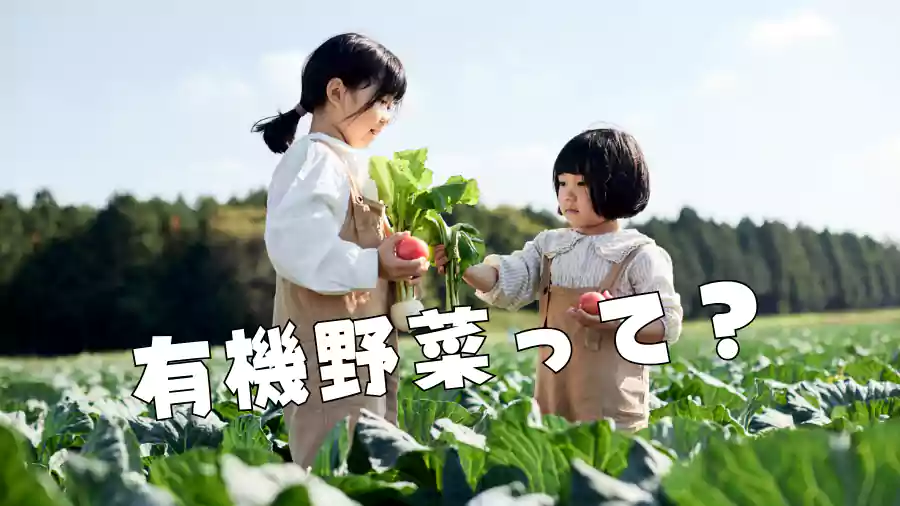 有機野菜って?