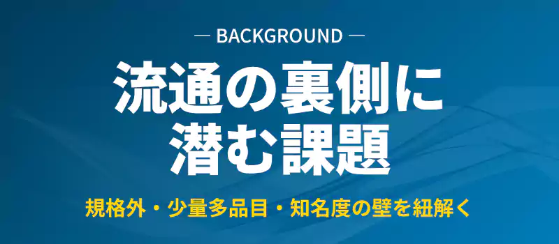 未利用魚が発生する流通の仕組みを解説するバナー
