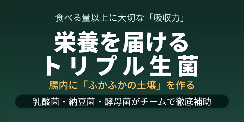 プルエルプロテインの腸内環境サポート成分（乳酸菌・納豆菌・酵母菌）を解説するセクションバナー。