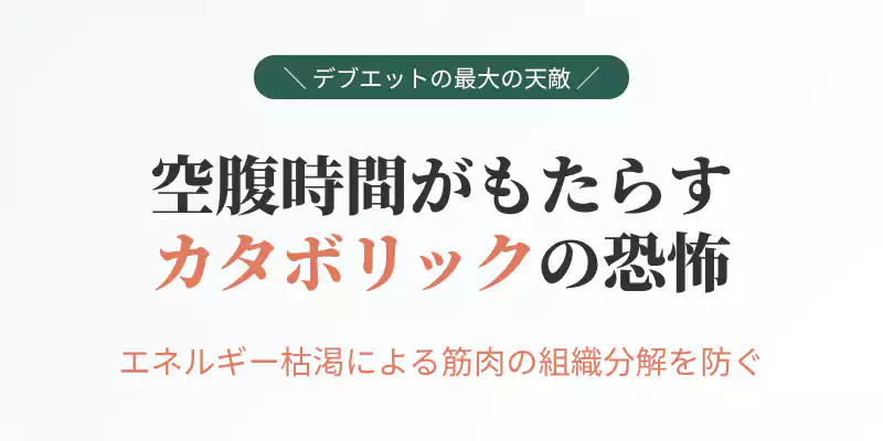 少しの空腹が命取りになるカタボリックの仕組みと、組織分解を防ぐためのプロテイン活用法を解説するセクションバナー