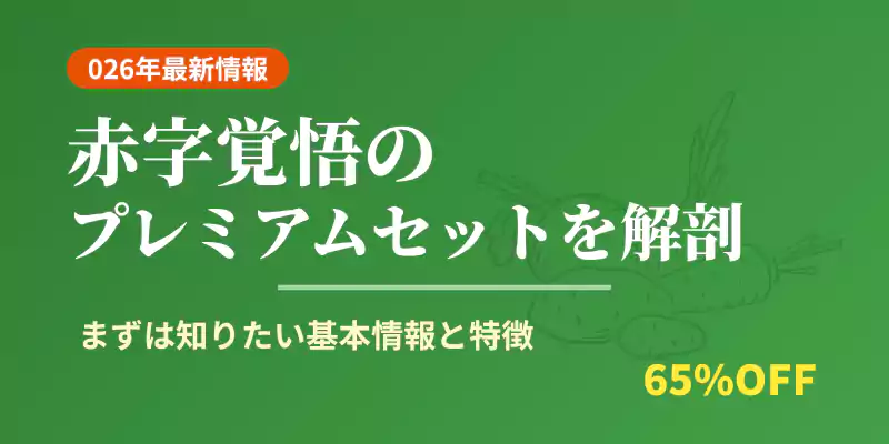 らでぃっしゅぼーやお試しセットの価格や割引率などの基本情報をまとめたバナー