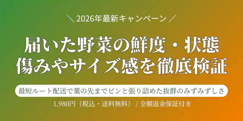 実際に届いた野菜の鮮度や状態、サイズ感の検証結果を伝えるバナー