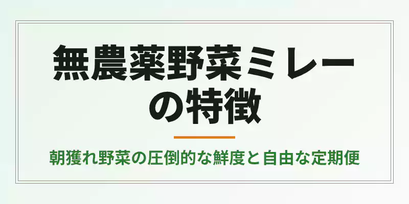 朝獲れ当日発送が特徴の無農薬野菜ミレーの解説セクションバナー