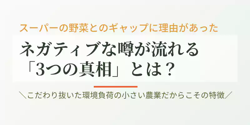 なぜ坂ノ途中の野菜にまずいという噂があるのか、その3つの真相を紐解くセクションバナー。