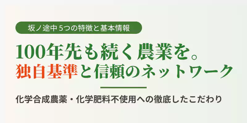 化学合成農薬や化学肥料不使用など、坂ノ途中の野菜宅配が持つ5つの特徴を解説するバナー