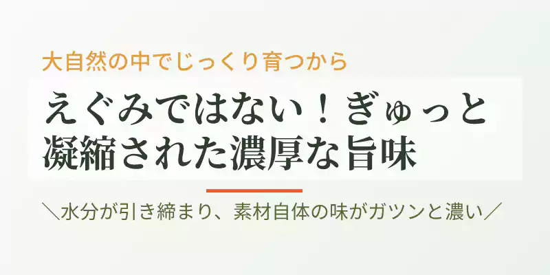 化学肥料不使用で育つ坂ノ途中の野菜本来の濃い味わいについて説明するバナー。
