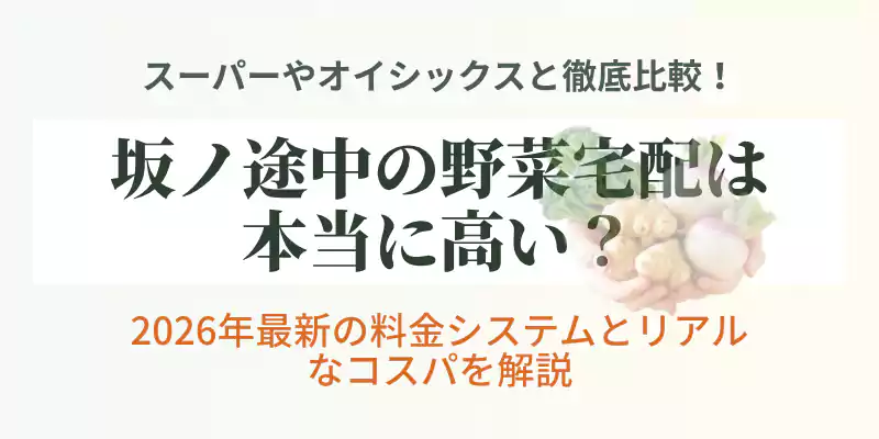 坂ノ途中の野菜宅配の値段について、スーパーや他社と比較検証する記事のメインバナー