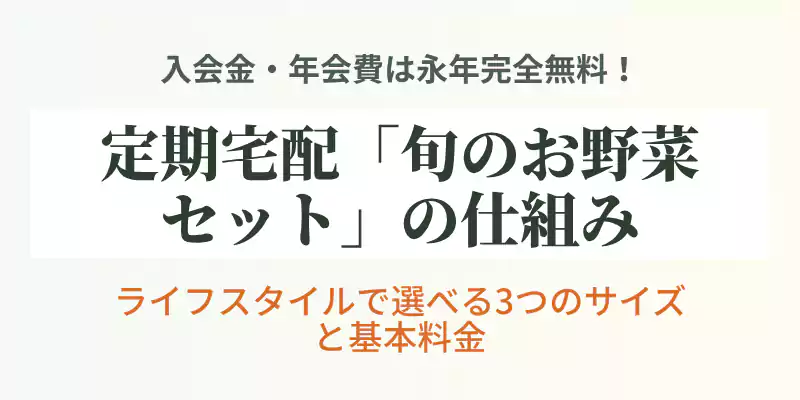 坂ノ途中の定期便「旬のお野菜セット」の仕組みとサイズ別の特徴を解説するバナー